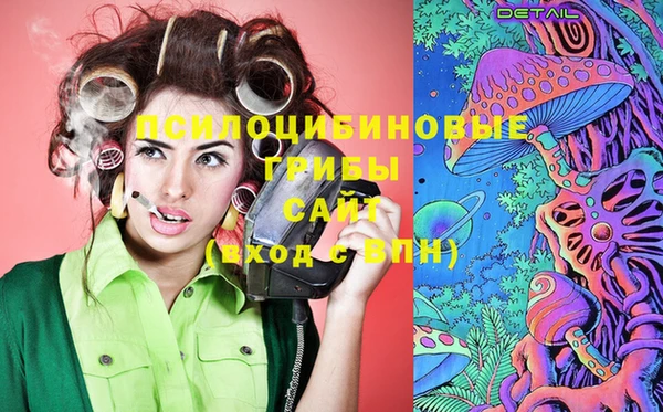 apvp Рославль