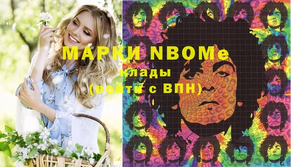 apvp Рославль