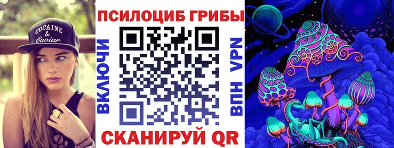 Купить где  Снежинск  Псилоцибиновые грибы GOLDEN TEACHER 